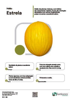 Melão Híb. Estrela