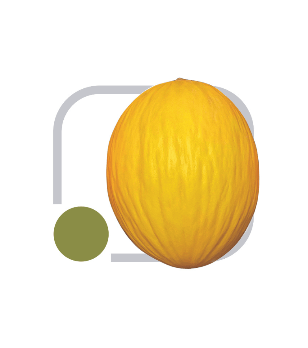 Melão Híb. Estrela