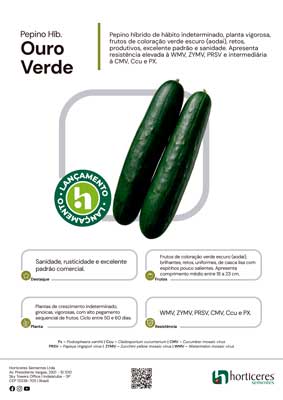 Pepino Híb. Ouro Verde