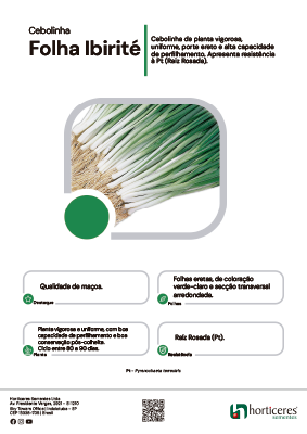 Cebolinha de Folha Ibirité
