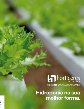 capa-hidroponia